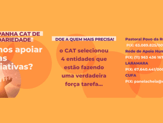 Campanha de Solidariedade