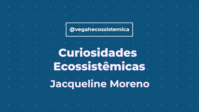 Curiosidades