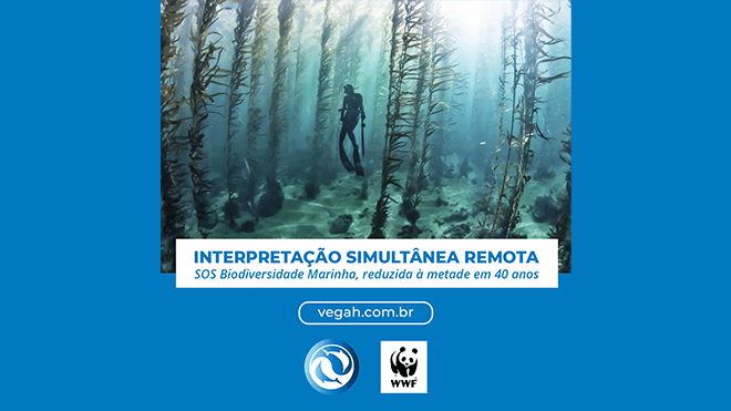 SOS Biodiversidade Marinha, reduzida à metade em 40 anos